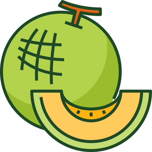 Rockmelon Icon