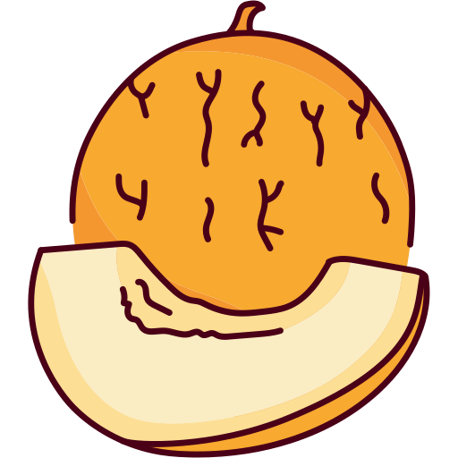 Rockmelon Icon
